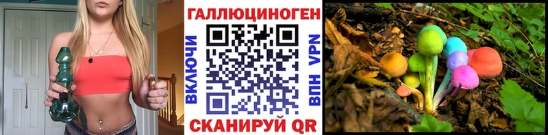 Псилоцибиновые грибы Psilocybine cubensis  Купить  Шумиха 